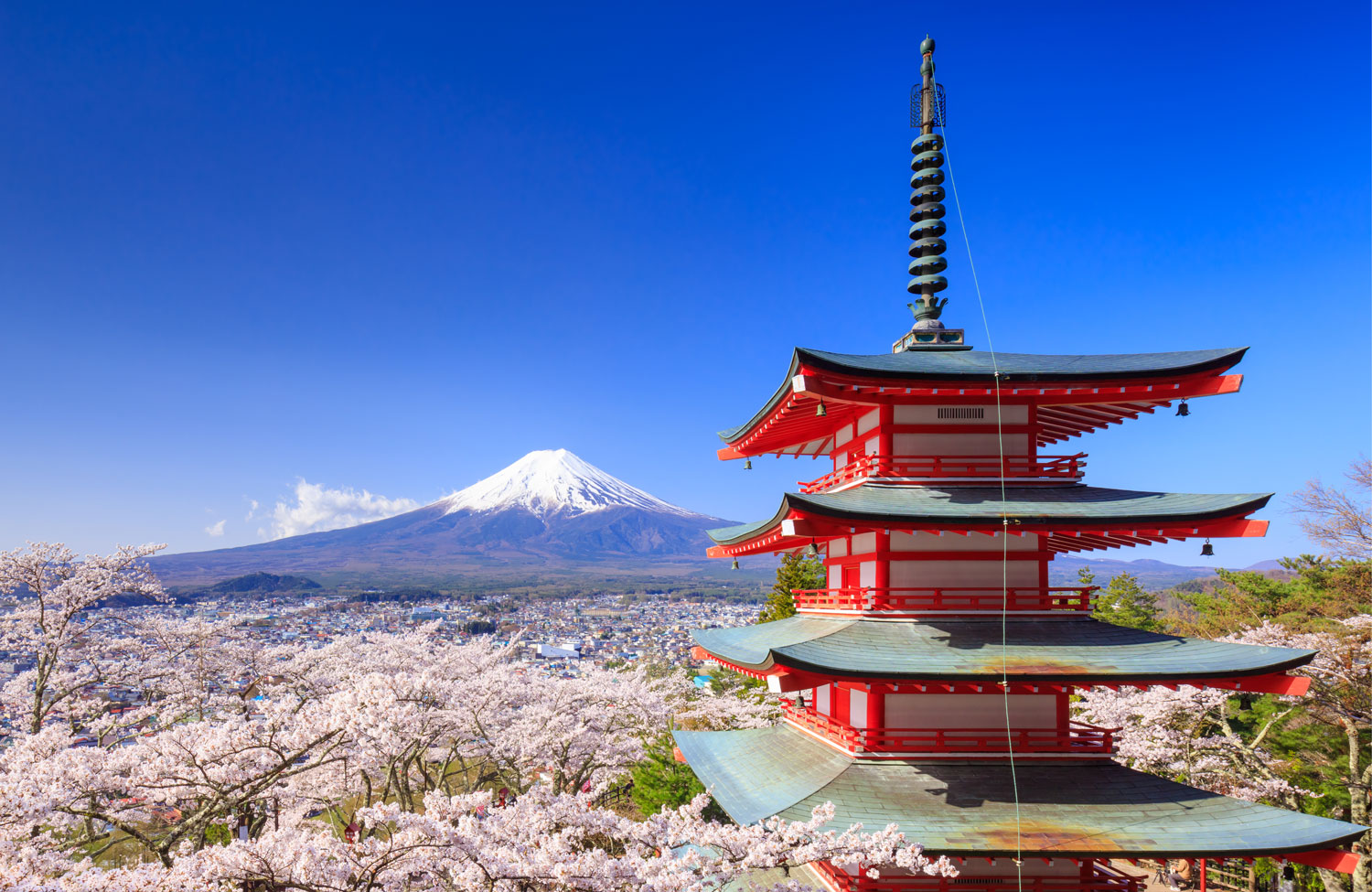 Japan Reopens for Tourism on October 11