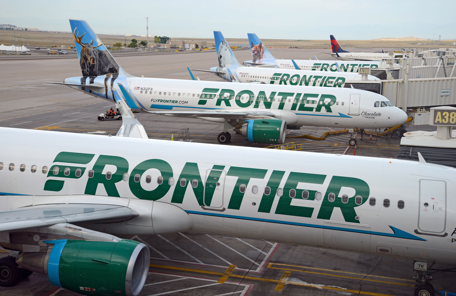 Frontier Airlines GoWild! Pass Analysis