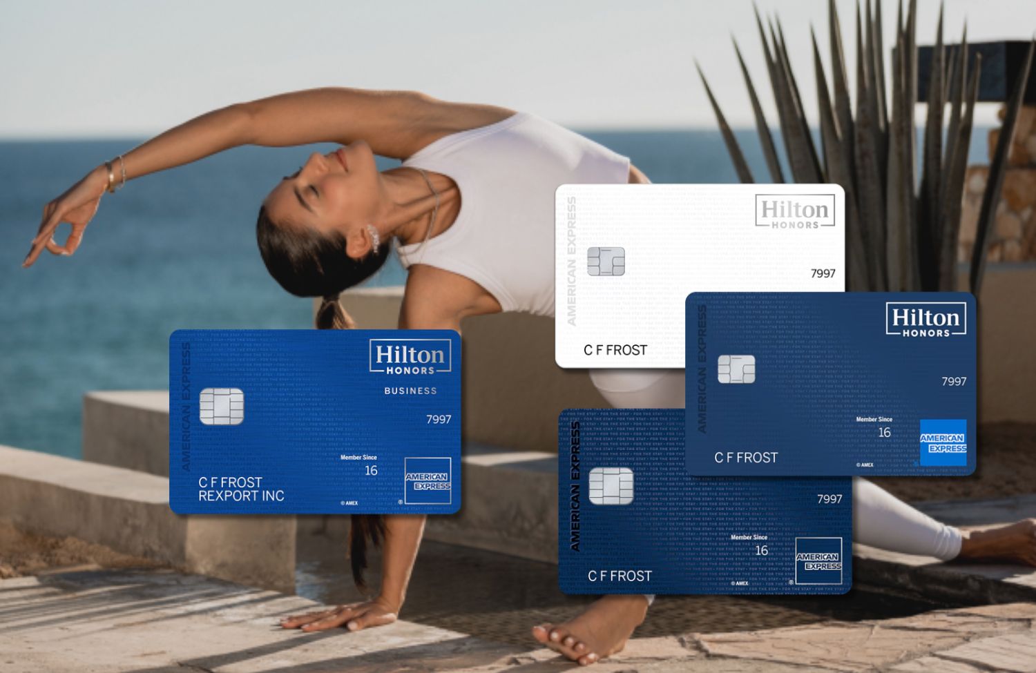 Hilton Honors Amex Cards