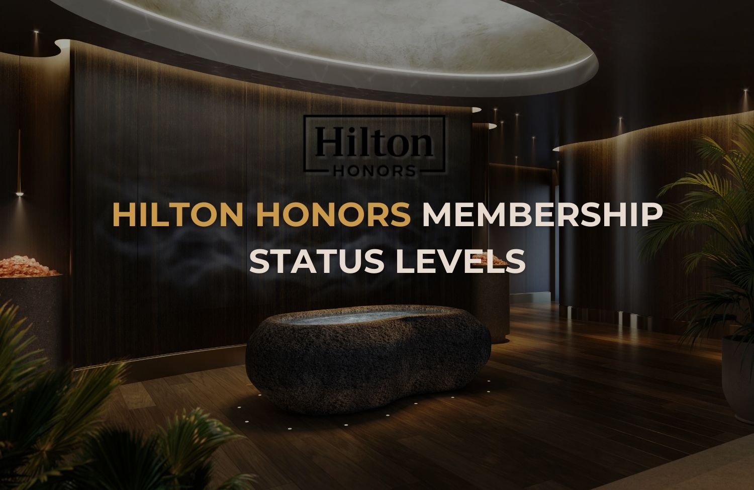 Hilton Honors Membership Status Levels How To Get And What Are The