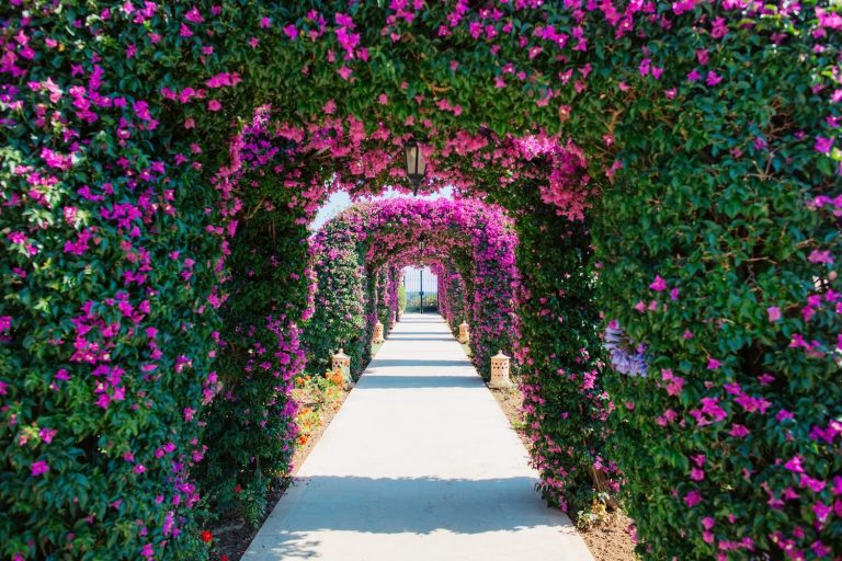 Earn 2 Ways on 2-Night Stays: Up to 4,000 Points per Stay with Marriott Bonvoy 8 earn 2 ways on 2 night stays up to 4000 points per stay with marriott bonvoy