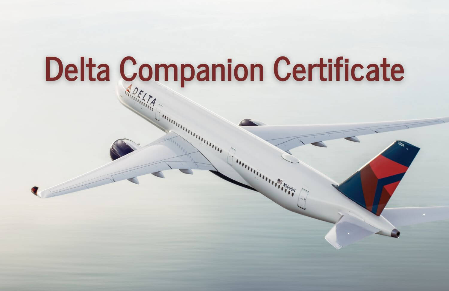 Delta Companion Certificate
