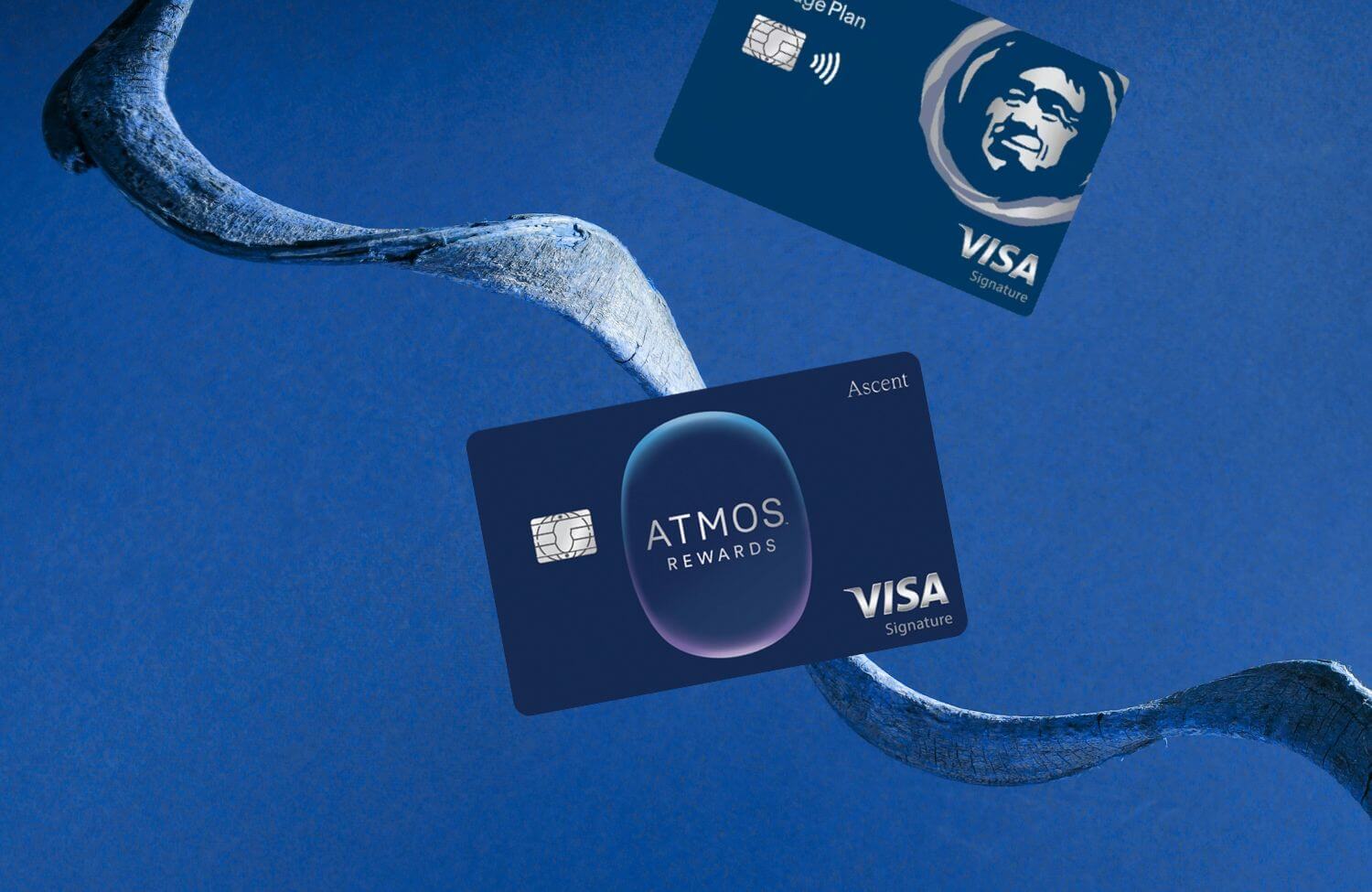 atmos rewards ascent visa the rebranded alaska airlines signature card