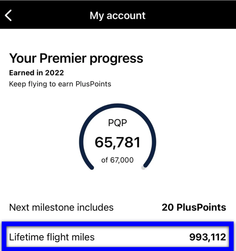 Lifetime Flight Miles total