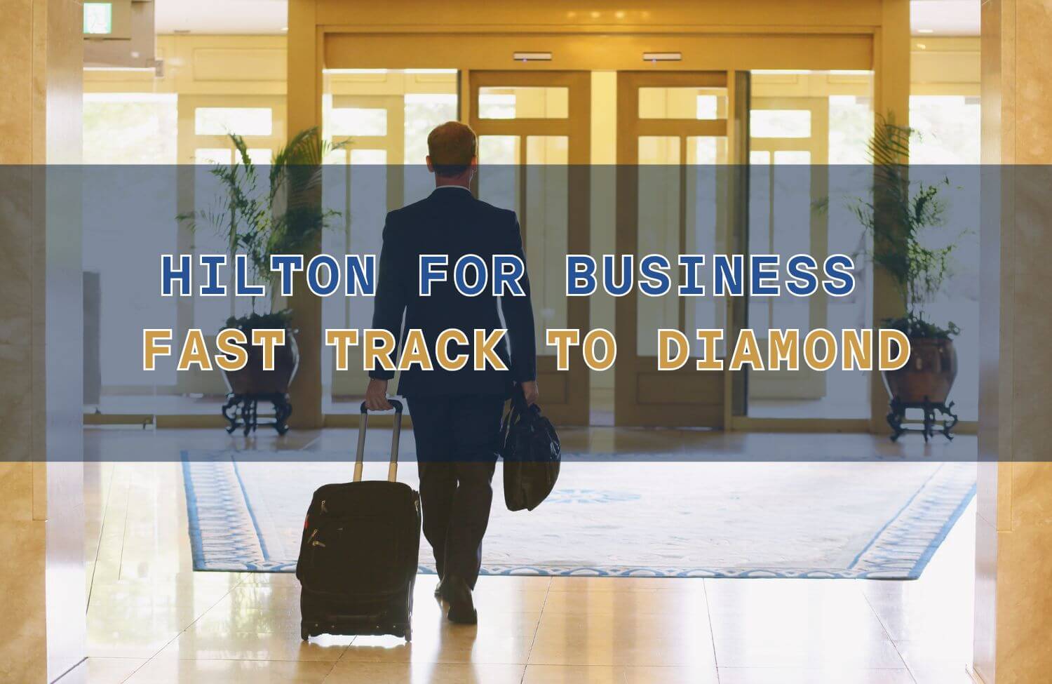 hilton for business fast track to diamond