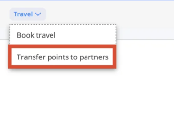 option Transfer points to partners