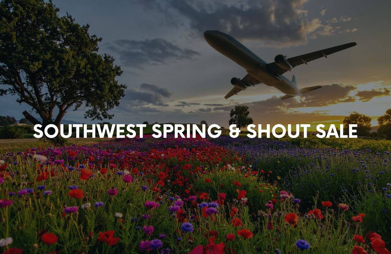 Last Call! Southwest Spring & Shout Sale: Up to 40% Off Base Fares With Code FLOWERS 5 Southwest Spring Shout Sale 1