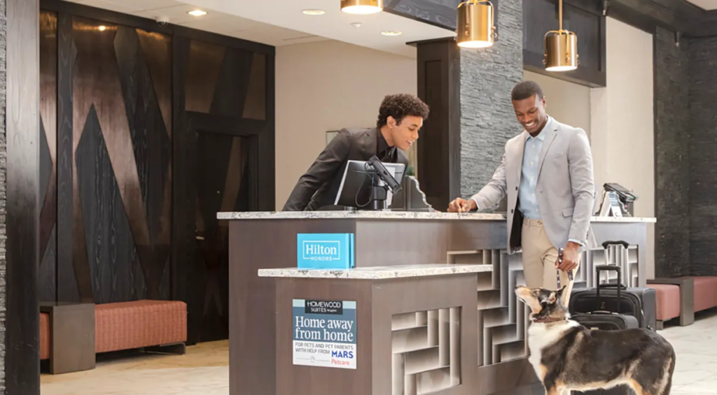 Pet-Friendly Hilton Hotels Worth Booking for Your Next Trip 2 image 8