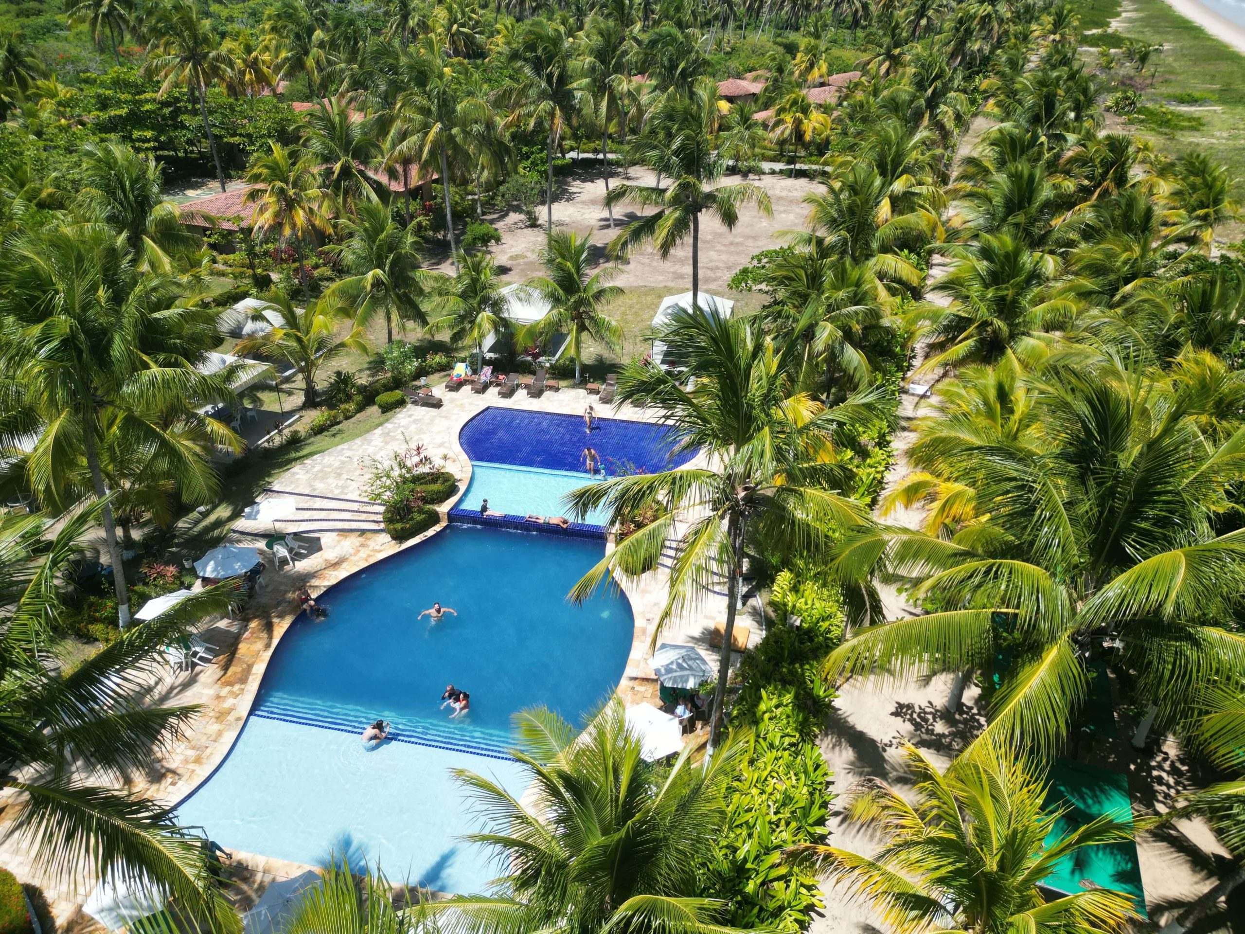World of Hyatt Launches Free Online Points Transfers Between Members 1 Aerial view of a tropical resort pool surrounded by palm trees, representing a World of Hyatt property